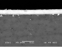 観察結果画像（白いコーティングの断面図の白黒画像です）