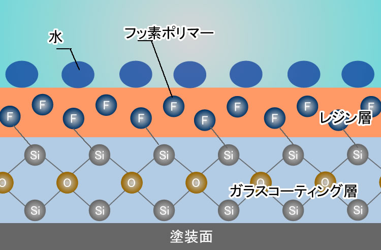 コーティング被膜イメージ